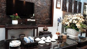 Un salon moderne avec un téléviseur à écran plat fixé à un mur foncé, une table basse agrémentée d’objets décoratifs et une grande plante en pot ornée de fleurs blanches.