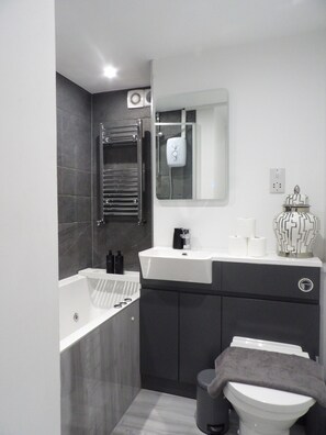 Hair dryer, towels, soap, toilet paper