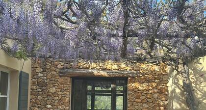 Charming and stylish house in Provence with beautiful pool nested in nature.