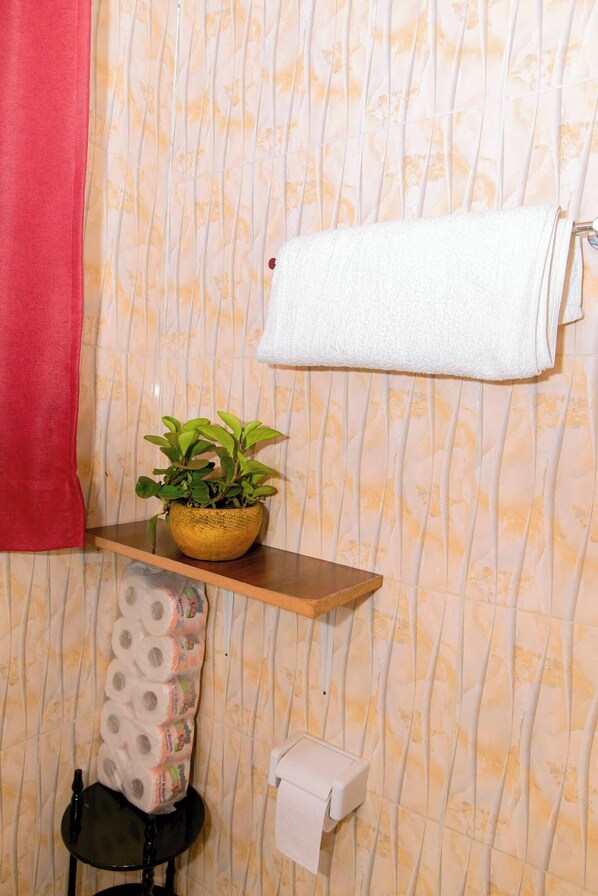 Sèche-cheveux, serviettes fournies, papier toilette