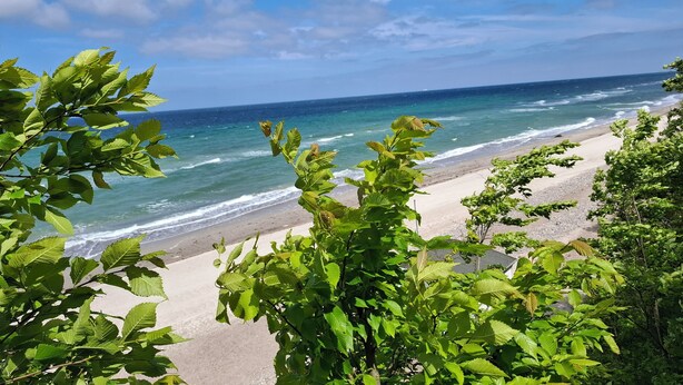 Ein Strand mit blauem Himmel und Meereswellen.