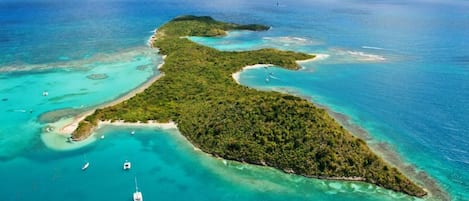 Tovalloles de platja