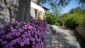 A stone pathway leading to a building with a tree and purple flowers in the foreground.