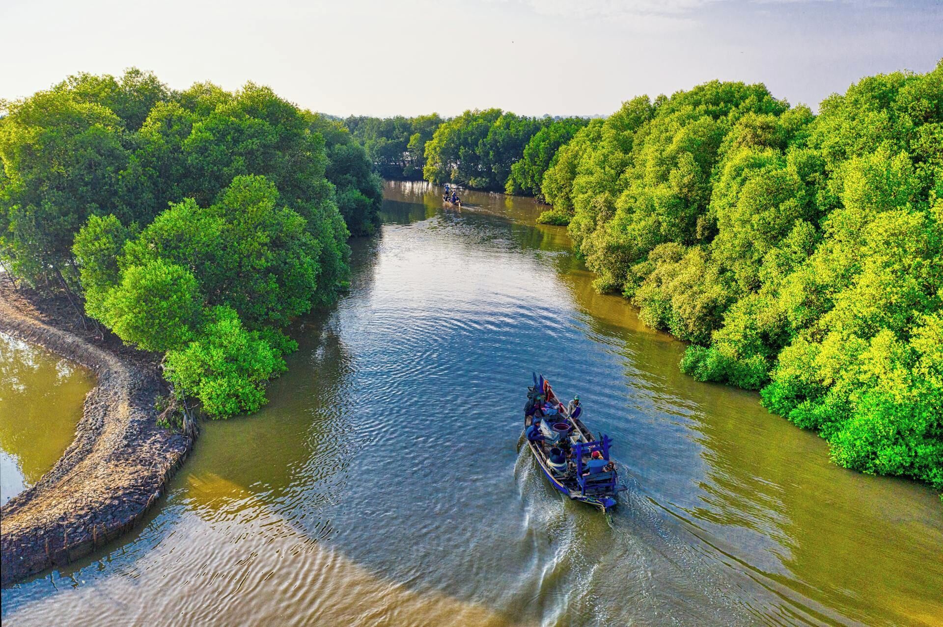 Un río rodeado de densa vegetación verde.