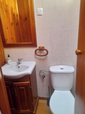 Hair dryer, bidet, towels, soap