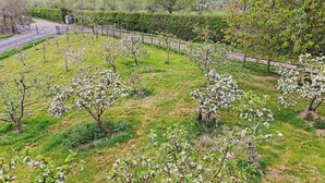A landscaped garden with flowering trees and a wooden fence. - 1 bedroom accommodation in near Uppingham (near Uppingham)