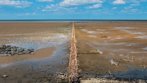 A coastal landscape with a wooden jetty extending into the water, a sandy beach, and a clear sky. - Cozy vacation apartment Godewind directly on the dike (Dagebüll)