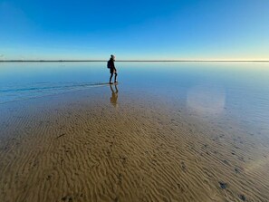 A person walking on a wet, sandy beach with a clear sky.