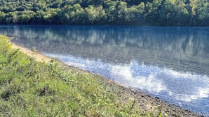 Ein Fluss mit klarem Wasser, das die umliegenden Bäume spiegelt, und einem grasbewachsenen Ufer.