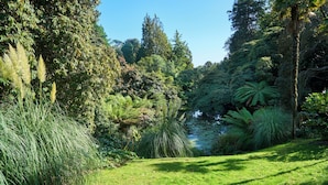 Un jardin luxuriant, avec une grande variété d’arbres et de plantes, un petit étang et un ciel bleu azur.