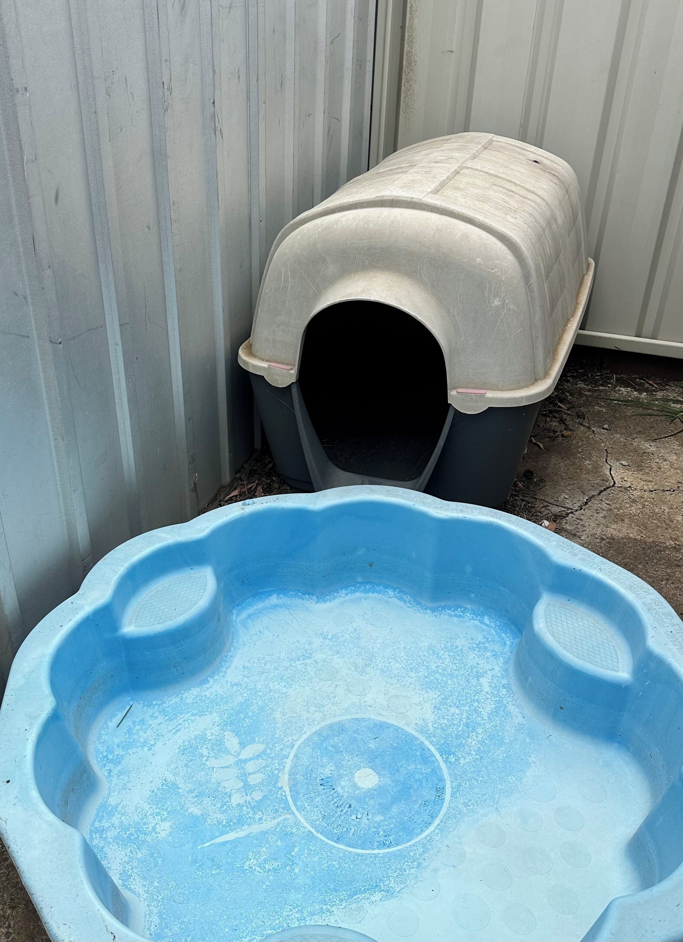 Une petite piscine en plastique bleue, avec une niche pour chat à proximité.