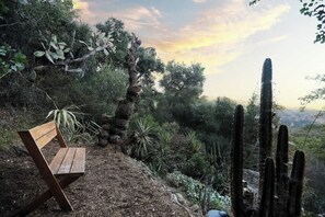 Un banc situé dans un cadre naturel, agrémenté de cactus et d’arbres.