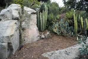 Terrain de l’hébergement 