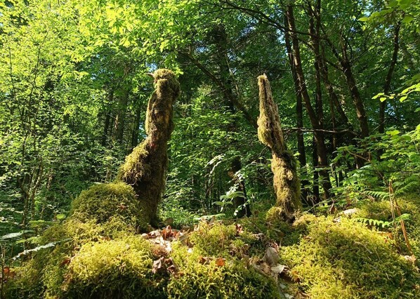Ulkopuoli