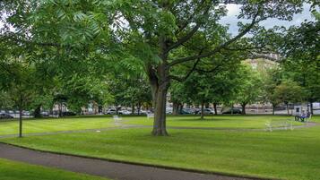Comfort Apartment, City View | Garden view