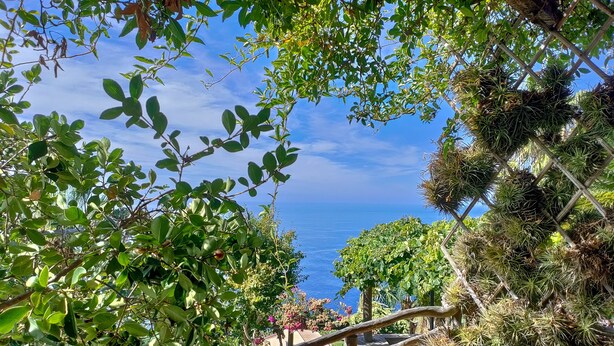 A staircase with a view of the sea, surrounded by lush greenery and potted plants.