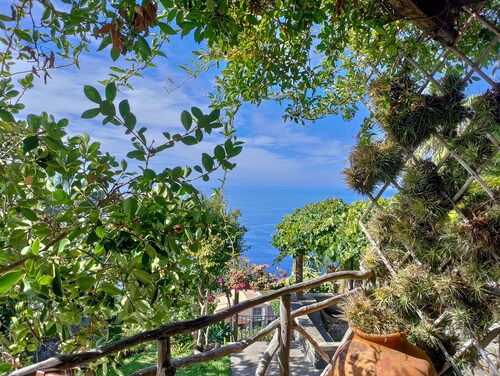 Cottage Palha, hanging in a tropical garden