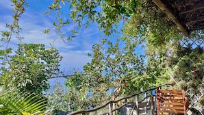 A wooden deck with a bench, surrounded by lush greenery and a clear blue sky.