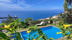 A pool with a view of the ocean, surrounded by greenery and a few lounge chairs.