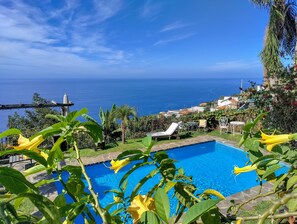 Outdoor pool - Cottage Palha, hanging in a tropical garden (Arco da Calheta)