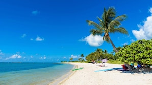 A beach with clear blue water, a sandy shore, and palm trees. - Mermaid Manor ~ Waterfront Haven w/ Hot Tub & Dock (Marathon)
