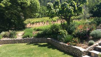 Terrein van de accommodatie