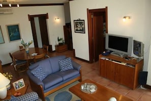 Televisión 