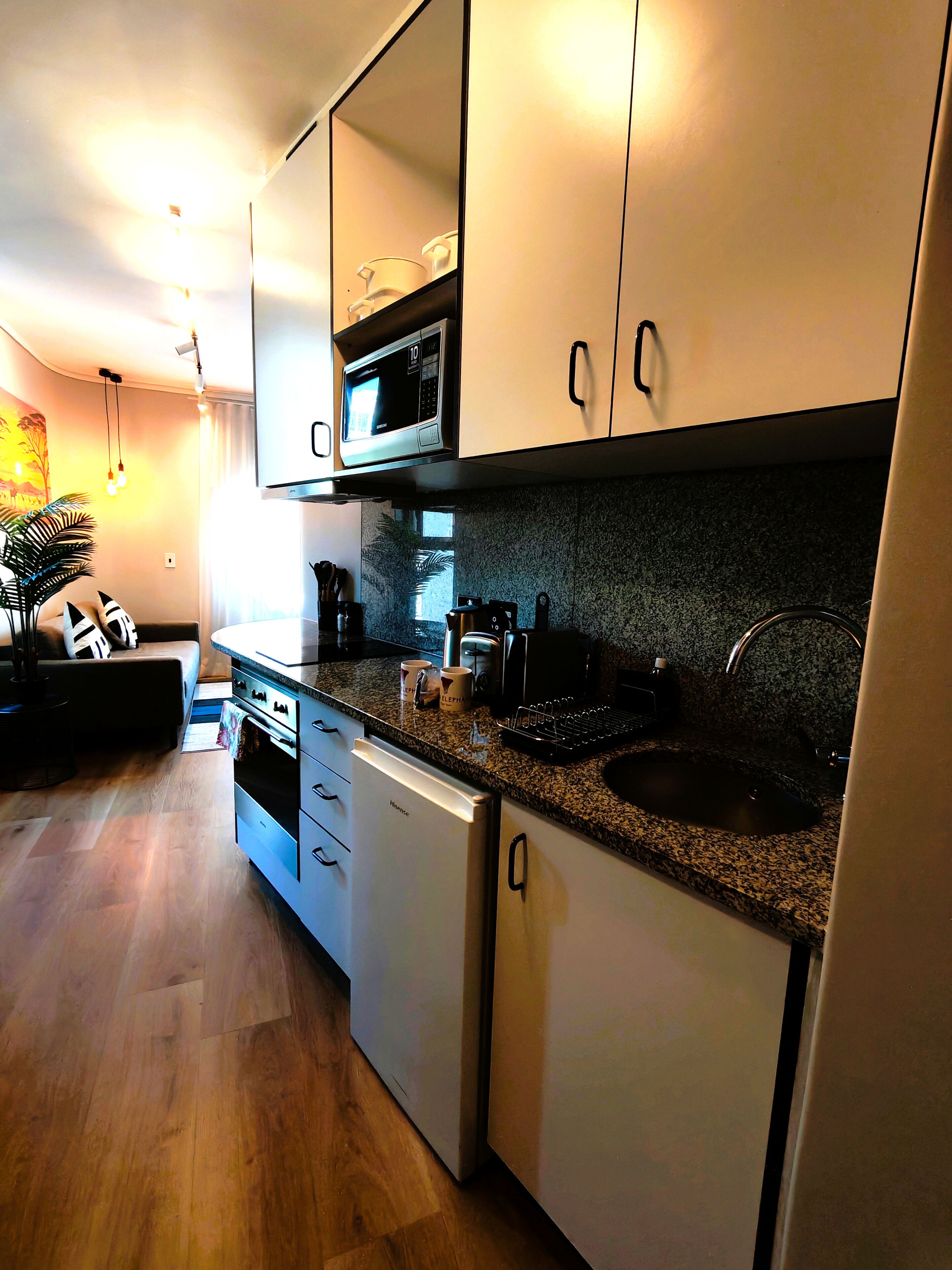 Apartment 203 | Cocina privada | Frigorífico pequeño, microondas, horno y placa de cocina