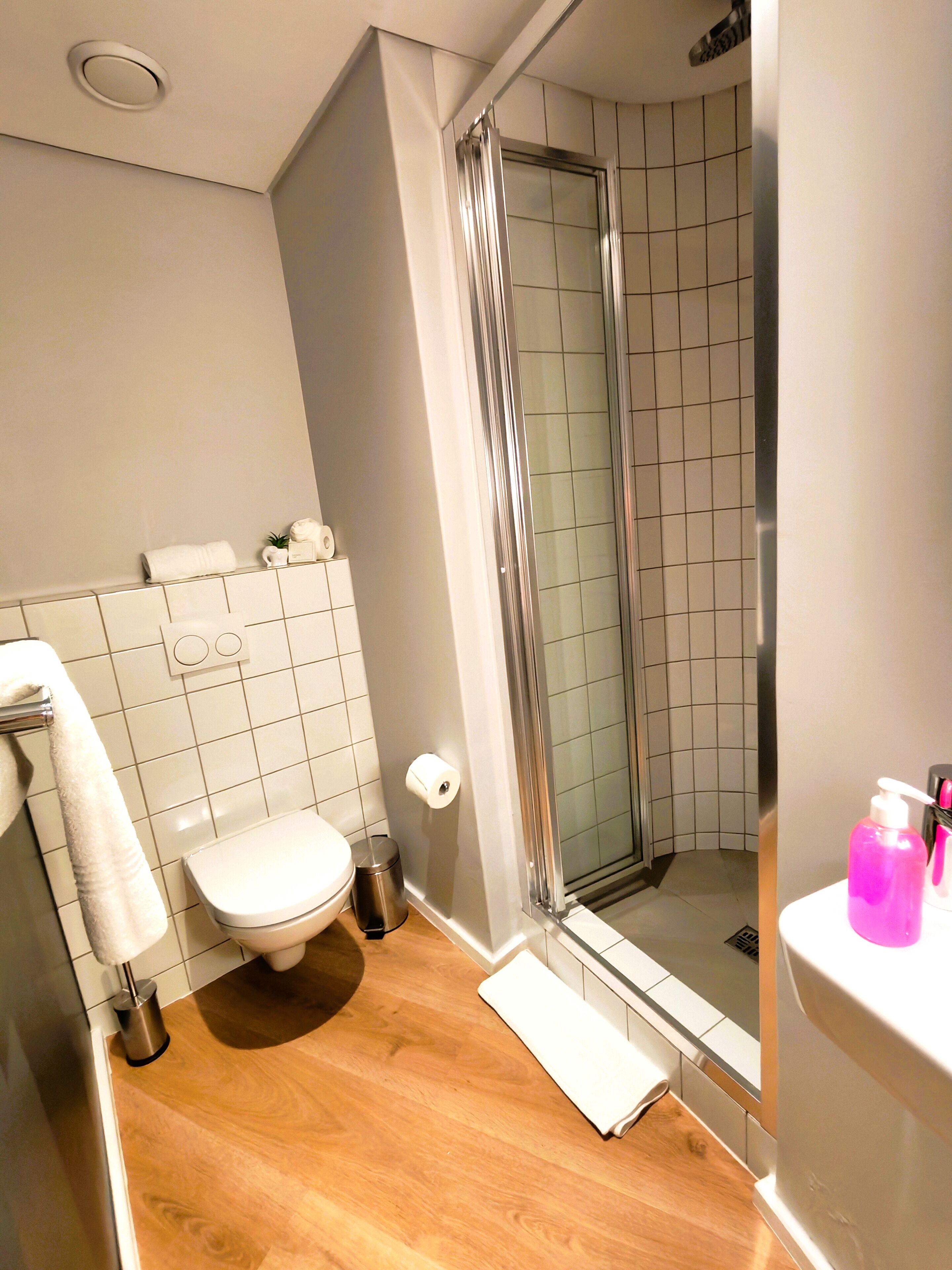 Apartment 204 | 浴室 | 淋浴设施、吹风机、毛巾、肥皂