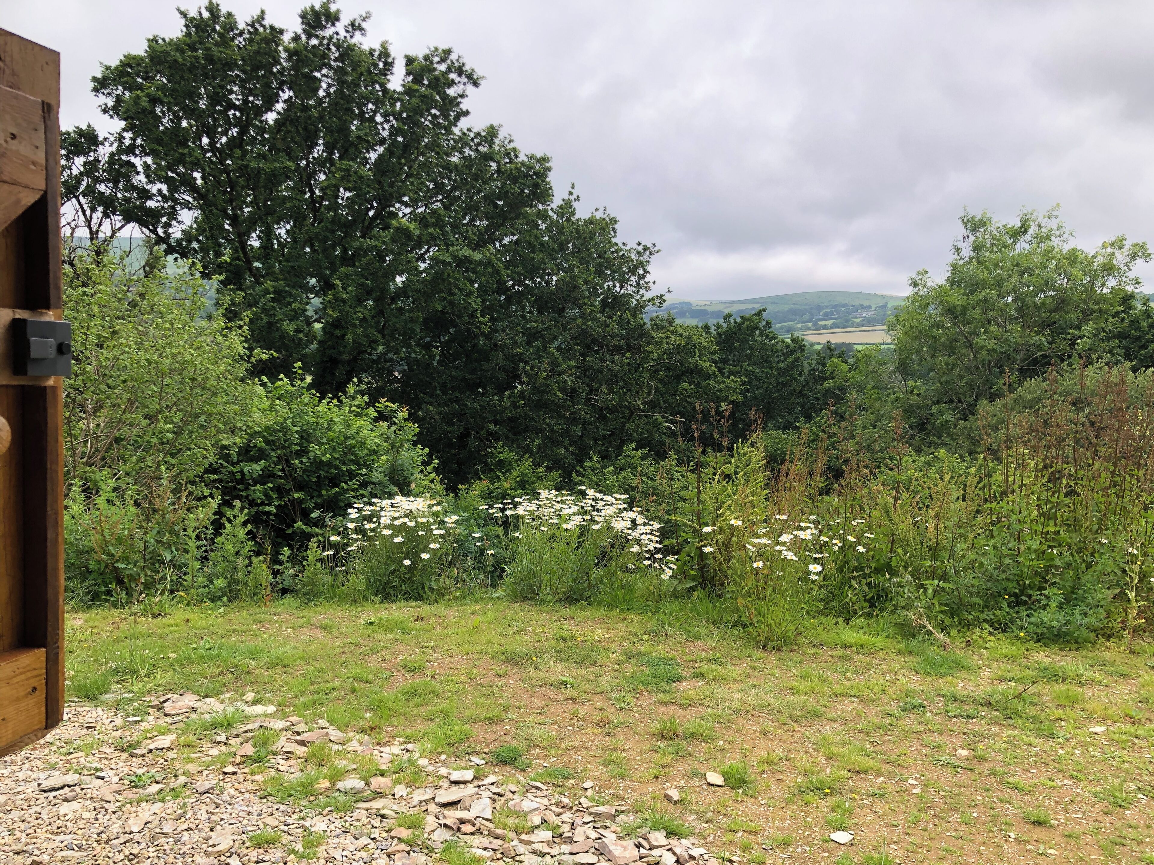 A view of a garden with a wooden structure, dense foliage, and a distant landscape.