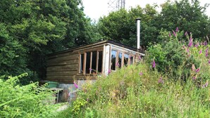 A rustic wooden cabin surrounded by dense greenery and tall purple flowers. - Monument Field South Brent (South Brent)