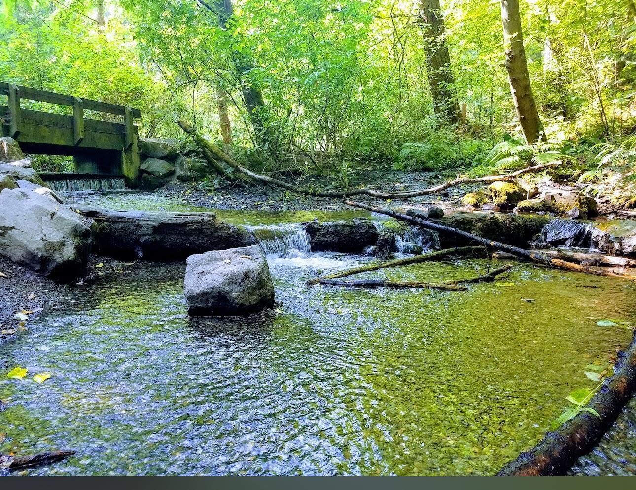 A natural stream with rocks and a wooden bridge.