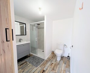 A modern bathroom with a glass shower enclosure, a white toilet, and a sink with a mirror above it.