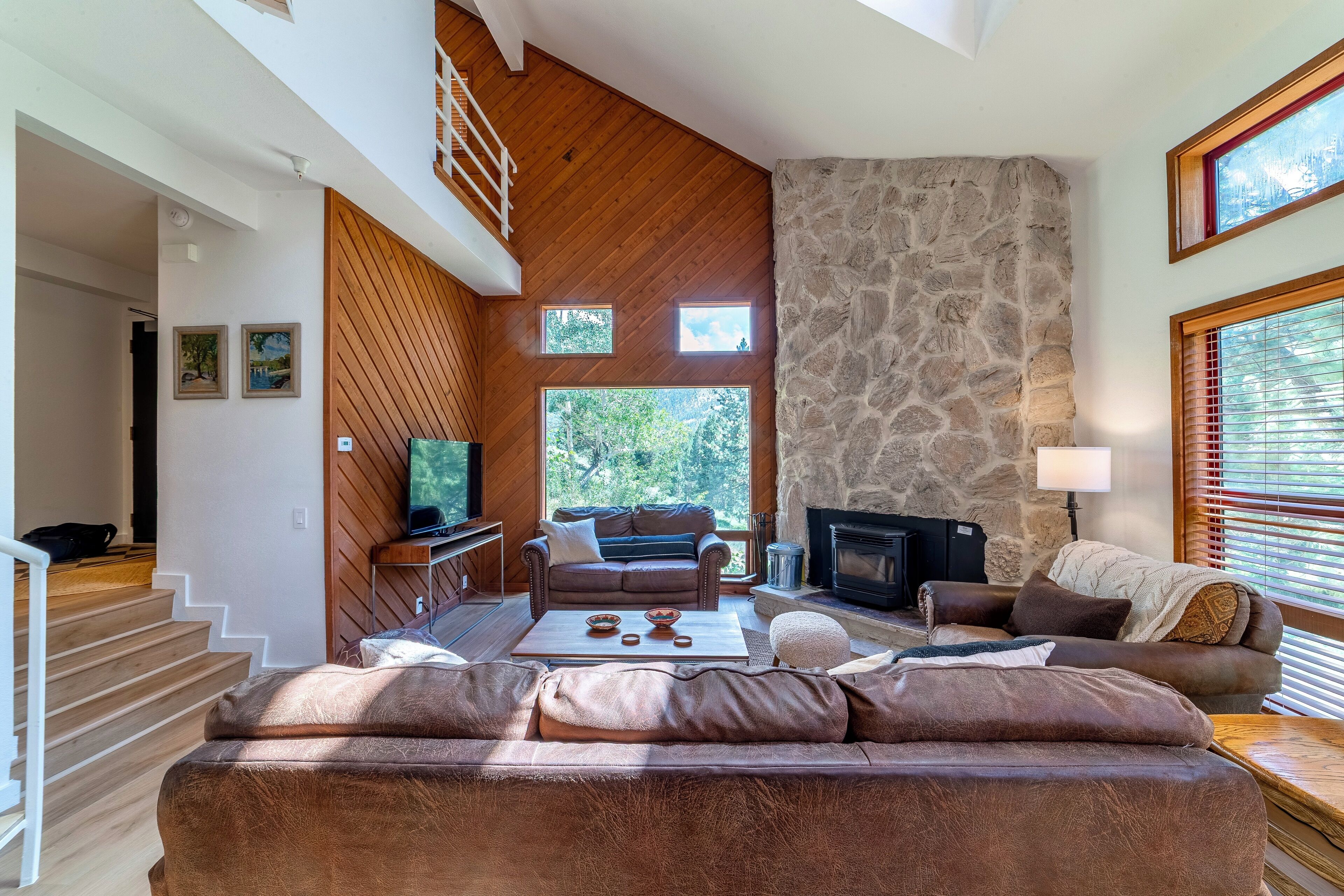 TV, fireplace