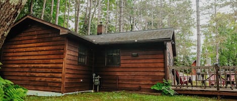 Eine Holzdiele mit Veranda, umgeben von einem Wald.