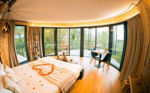 1 habitación 