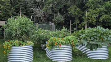 Áreas de la propiedad