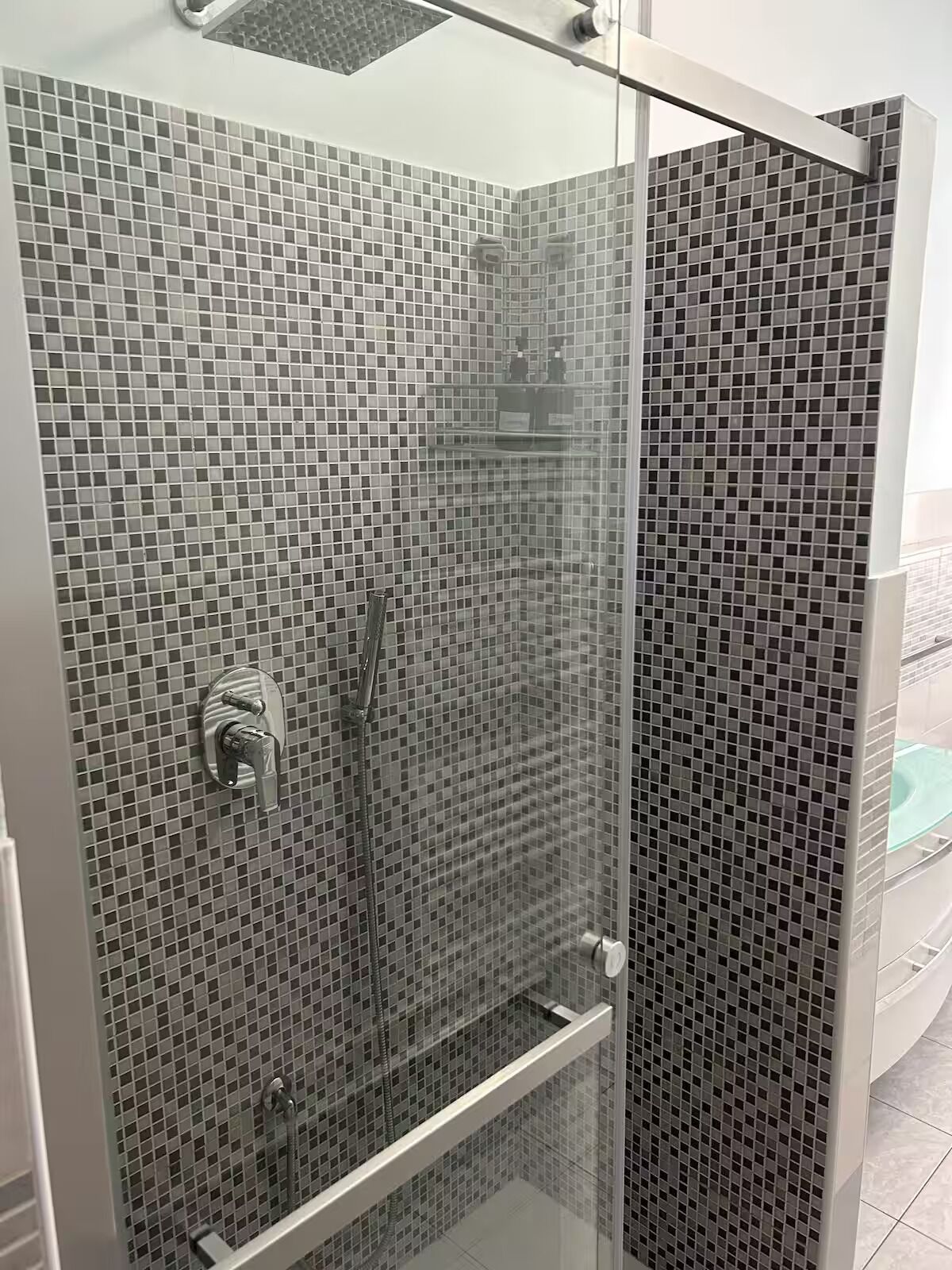 Shower, hair dryer, bidet, towels