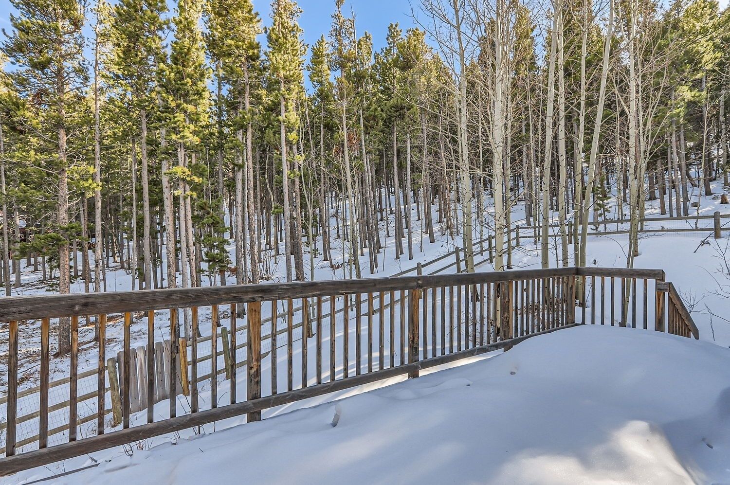 A snow-covered forest with a wooden fence.