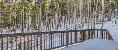 A snow-covered forest with a wooden fence.