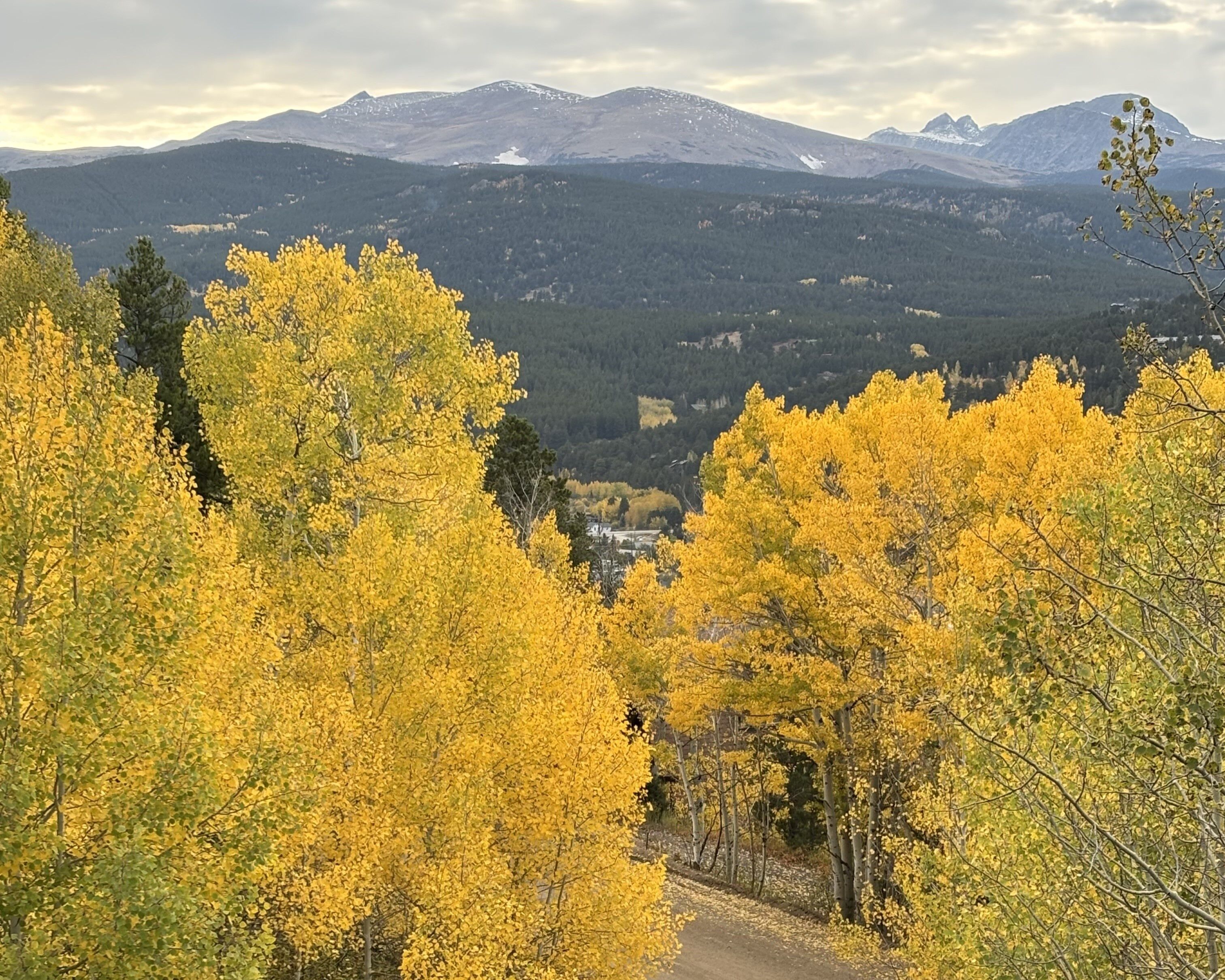 A mountainous landscape with autumn foliage and a clear sky.