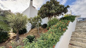 A garden with a white building, a palm tree, and a staircase.