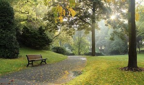 A park pathway with a bench, surrounded by trees and grass.