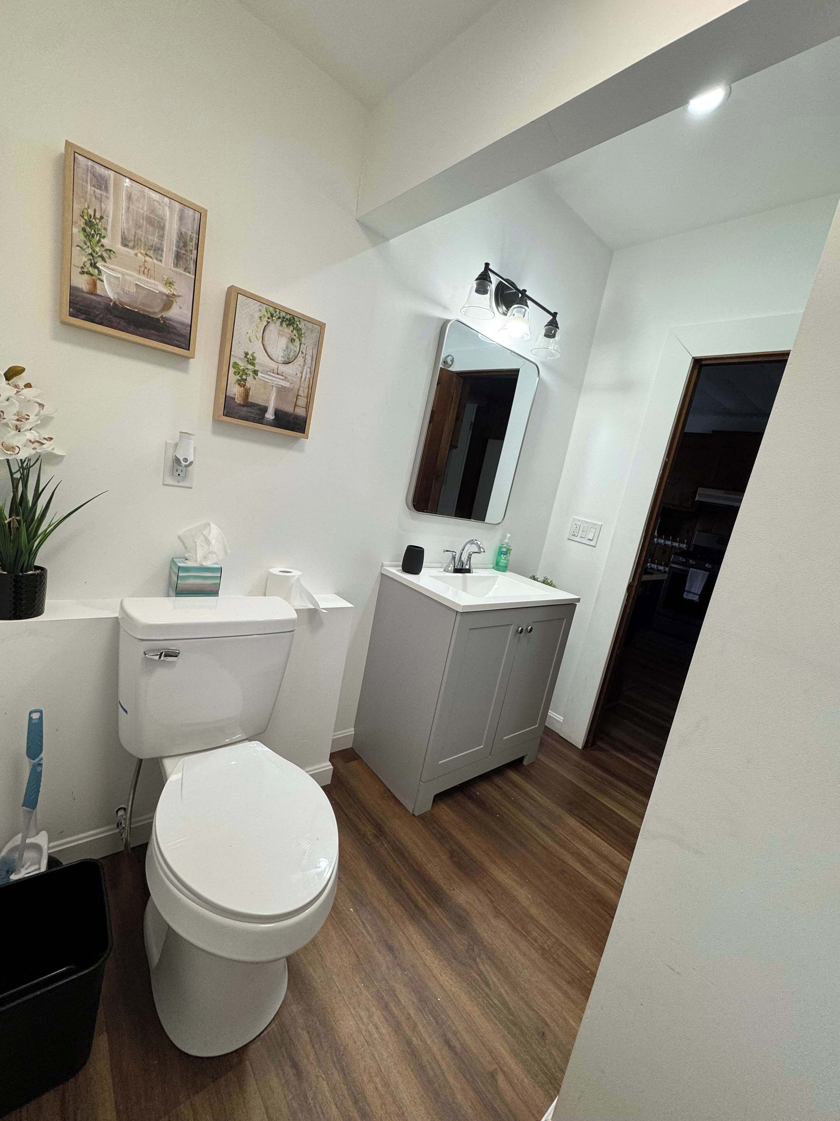 A modern bathroom with a toilet, sink, and cabinet, featuring wooden flooring and wall-mounted artwork.