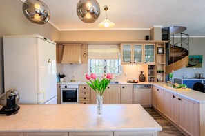 Kühlschrank, Ofen, Herdplatte, Geschirrspüler