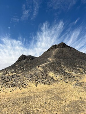 Miscellaneous - We organize safari trips to white desert (Bawiti)