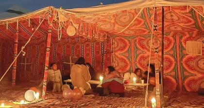 We organize safari trips to white desert