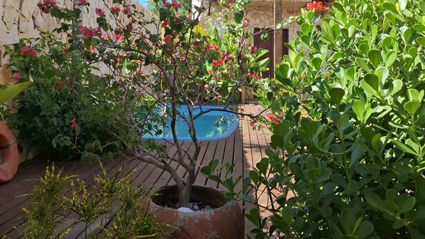 Un edificio de piedra con piscina, rodeado de exuberante vegetación y plantas florecientes.
