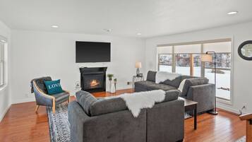 Smart TV, fireplace, books