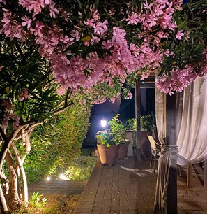Terraço/pátio